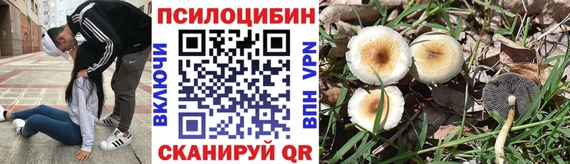 omg ссылка  закладка  Буинск  Галлюциногенные грибы MAGIC MUSHROOMS 